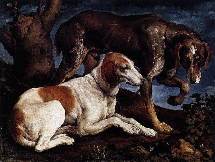 Follower of Jacopo da Ponte Two Hounds Norge oil painting art